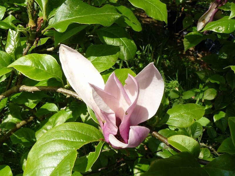 2008 05 Séjour à Martel 14